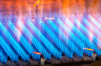 Colburn gas fired boilers